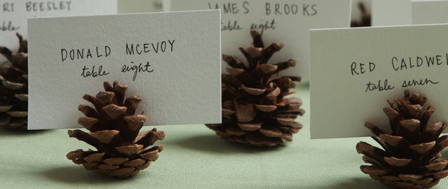 pinecone place cards