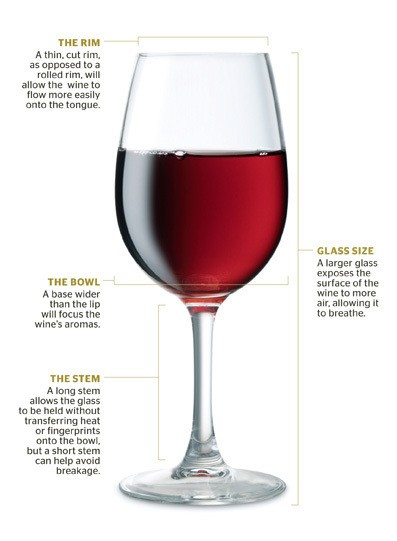 wine-glass-anatomy